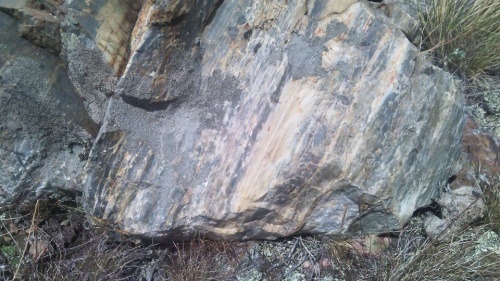 Гигантские зелёные валуны для ландшафтного дизайна весом более 5 тонн купить в Белгороде